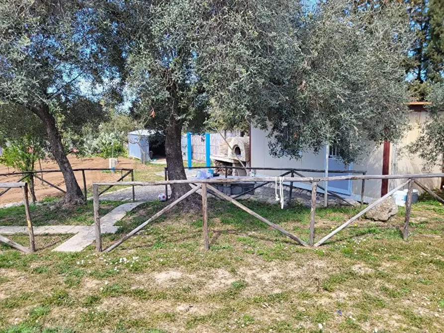 Immagine 4 di Terreno agricolo in vendita  in Medadeddu a Carbonia