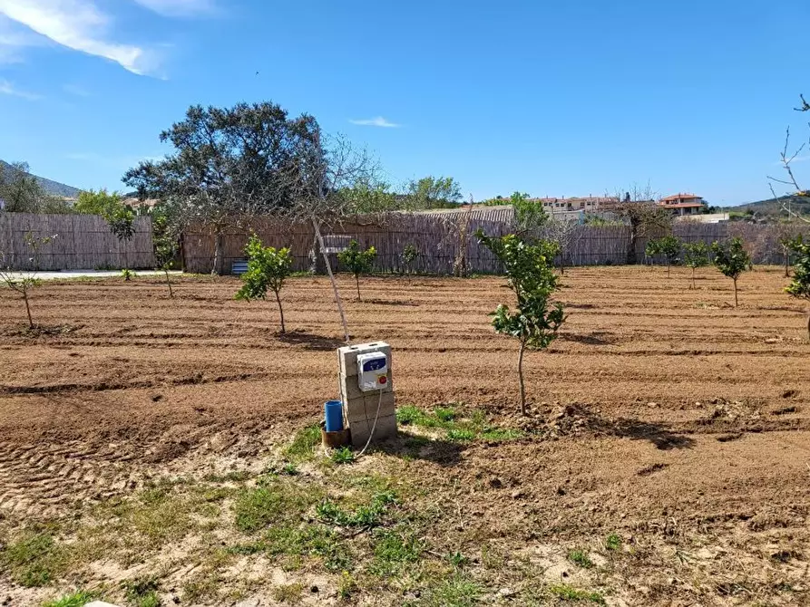 Immagine 3 di Terreno agricolo in vendita  in Medadeddu a Carbonia