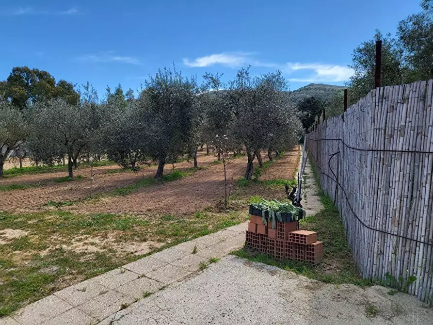 Immagine 7 di Terreno agricolo in vendita  in Medadeddu a Carbonia