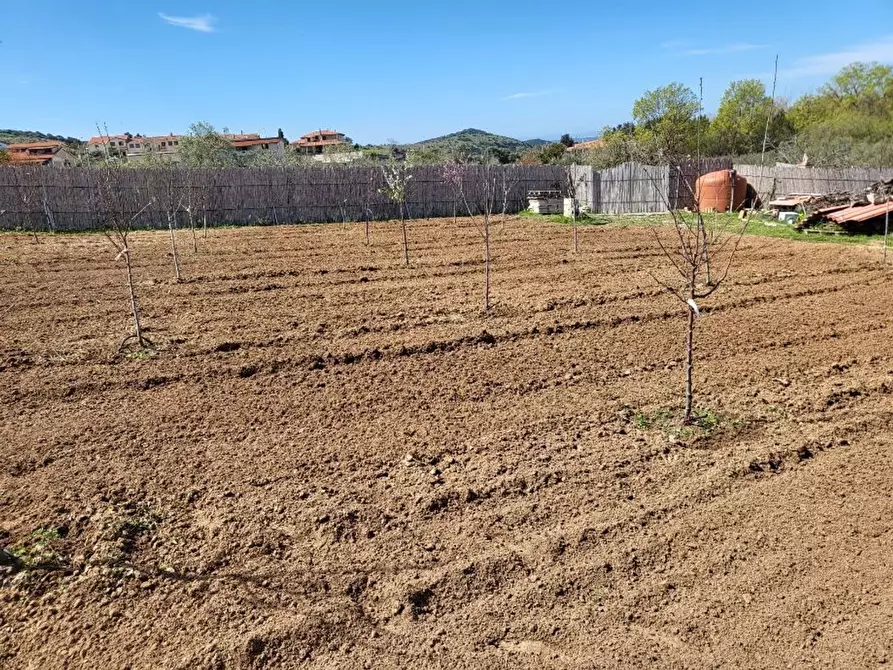 Immagine 6 di Terreno agricolo in vendita  in Medadeddu a Carbonia