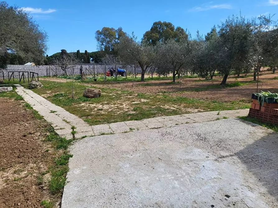 Immagine 11 di Terreno agricolo in vendita  in Medadeddu a Carbonia