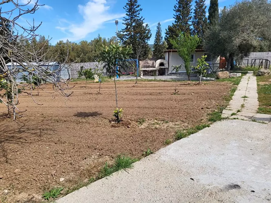 Immagine 12 di Terreno agricolo in vendita  in Medadeddu a Carbonia