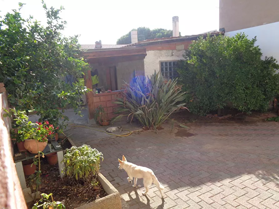 Immagine 16 di Appartamento in vendita  in Via Veneto 62 a Carbonia