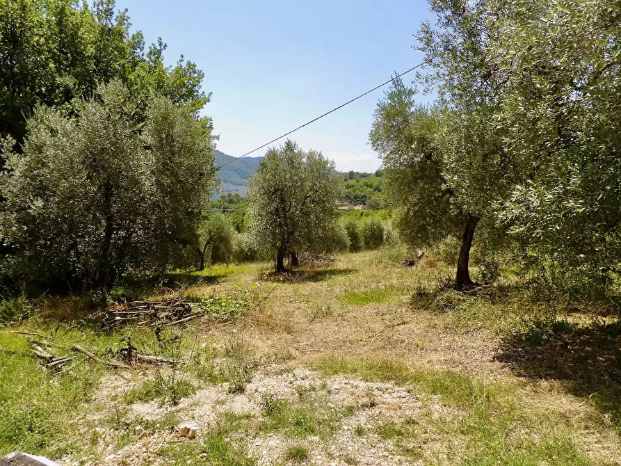 Immagine 36 di Casa indipendente in vendita  in Via Case Sparse a Ferentillo