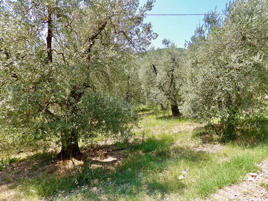 Immagine 37 di Casa indipendente in vendita  in Via Case Sparse a Ferentillo