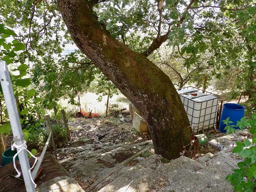 Immagine 40 di Casa indipendente in vendita  in Via Case Sparse a Ferentillo