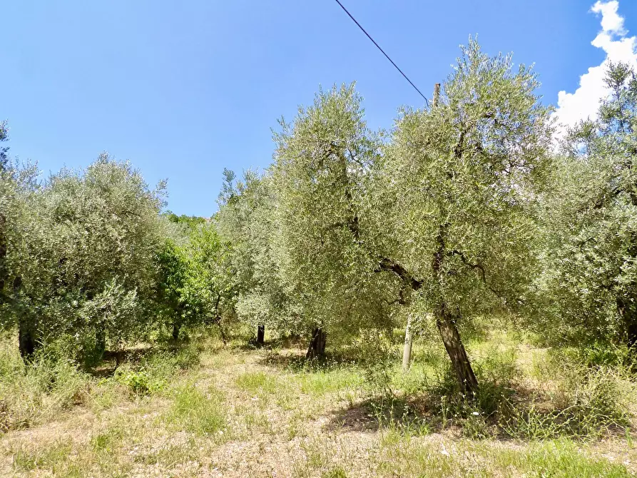 Immagine 46 di Casa indipendente in vendita  in Via Case Sparse a Ferentillo