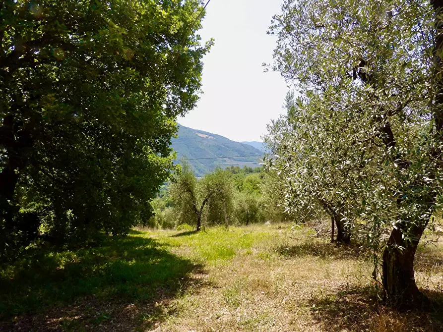 Immagine 47 di Casa indipendente in vendita  in Via Case Sparse a Ferentillo