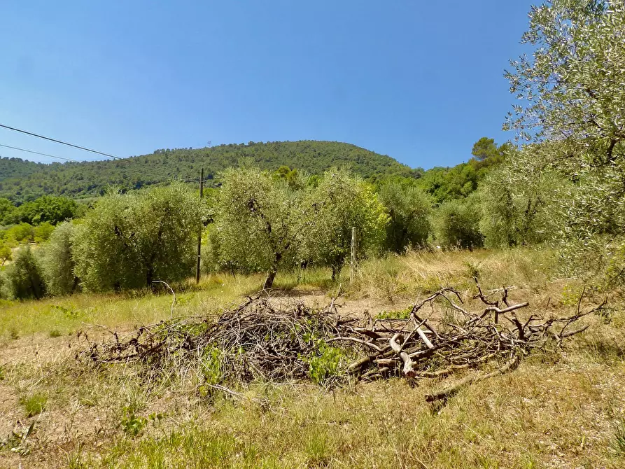 Immagine 49 di Casa indipendente in vendita  in Via Case Sparse a Ferentillo