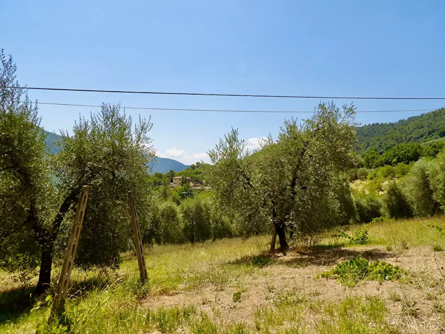 Immagine 51 di Casa indipendente in vendita  in Via Case Sparse a Ferentillo