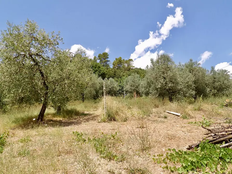 Immagine 52 di Casa indipendente in vendita  in Via Case Sparse a Ferentillo