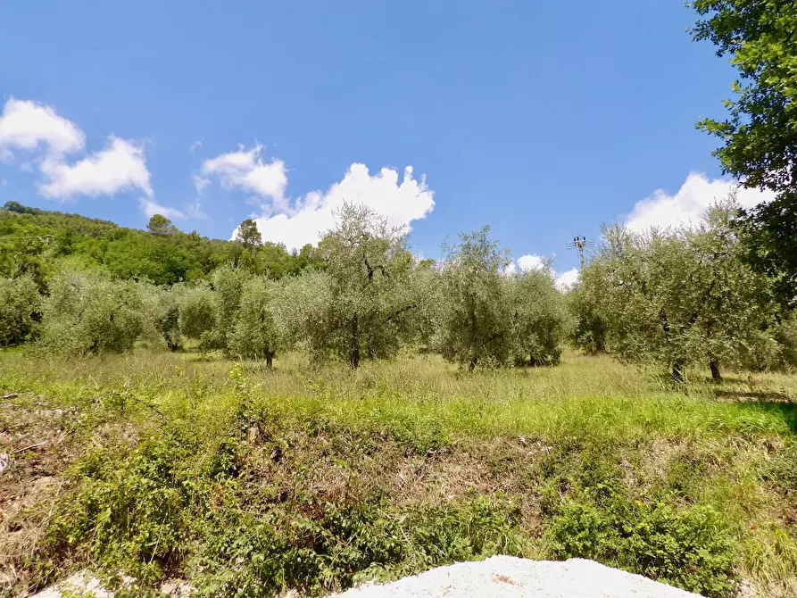 Immagine 53 di Casa indipendente in vendita  in Via Case Sparse a Ferentillo