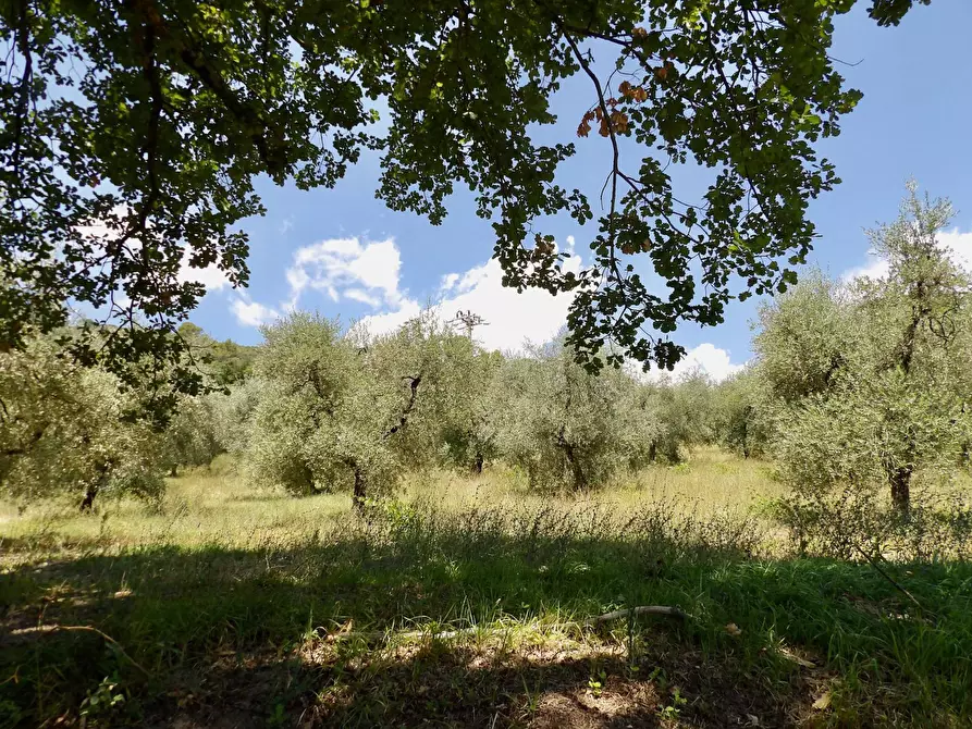 Immagine 54 di Casa indipendente in vendita  in Via Case Sparse a Ferentillo