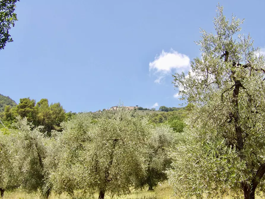 Immagine 57 di Casa indipendente in vendita  in Via Case Sparse a Ferentillo