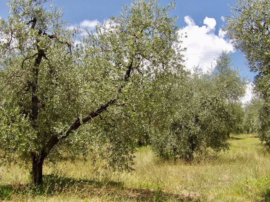 Immagine 58 di Casa indipendente in vendita  in Via Case Sparse a Ferentillo