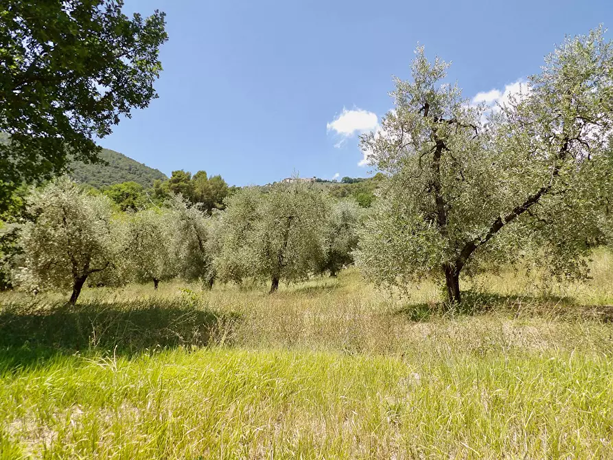 Immagine 59 di Casa indipendente in vendita  in Via Case Sparse a Ferentillo