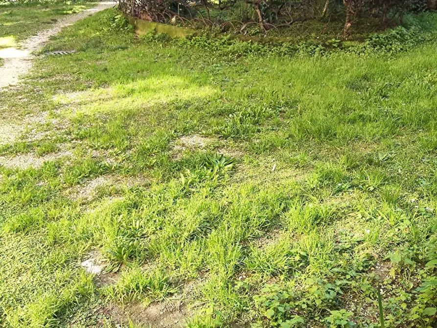 Immagine 17 di Appartamento in vendita  in via Vico 23 a Terni