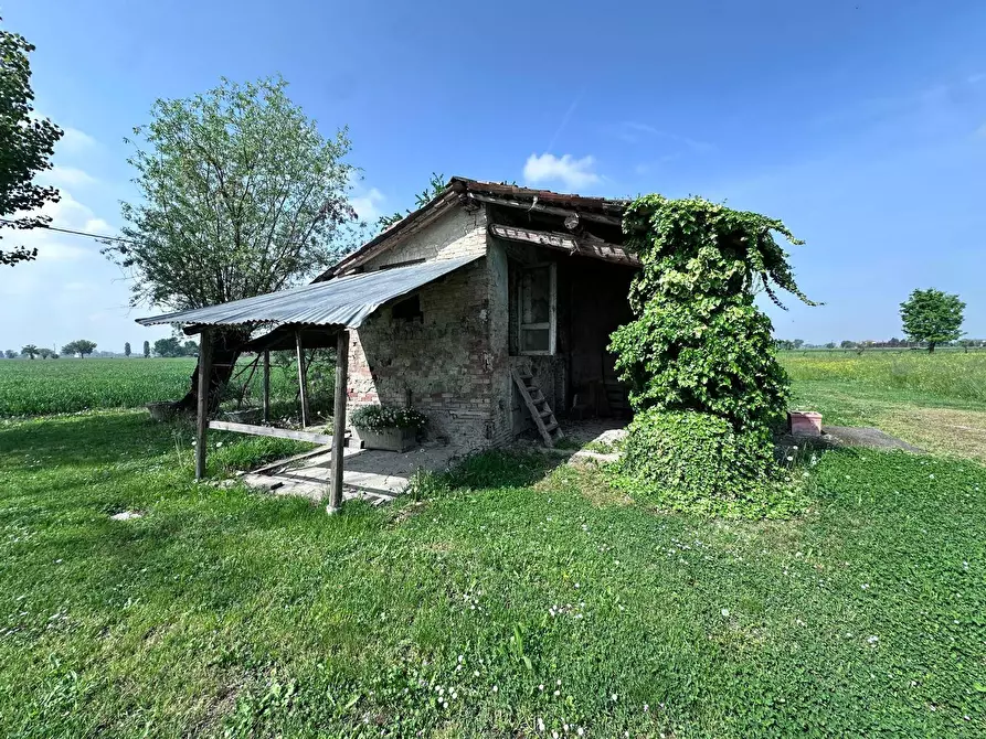 Immagine 4 di Rustico / casale in vendita  in strada gazzano a Bastiglia