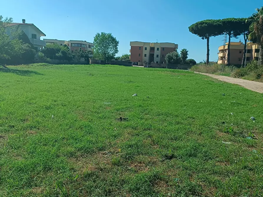 Immagine 6 di Terreno residenziale in vendita  in Via Del Cavallo Morto a Nettuno
