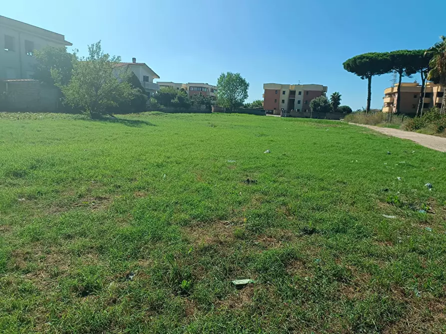 Immagine 9 di Terreno residenziale in vendita  in Via Del Cavallo Morto a Nettuno