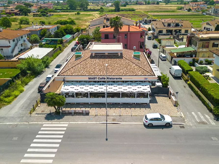 Immagine 3 di Attività commerciale in vendita  in Via Trincea delle Frasche 65 a Grottaferrata