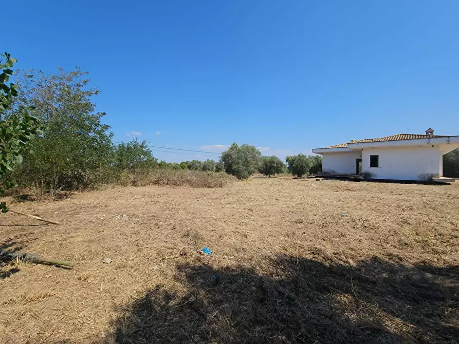 Immagine 3 di Villa in vendita  in Via Pantanelle a Aprilia