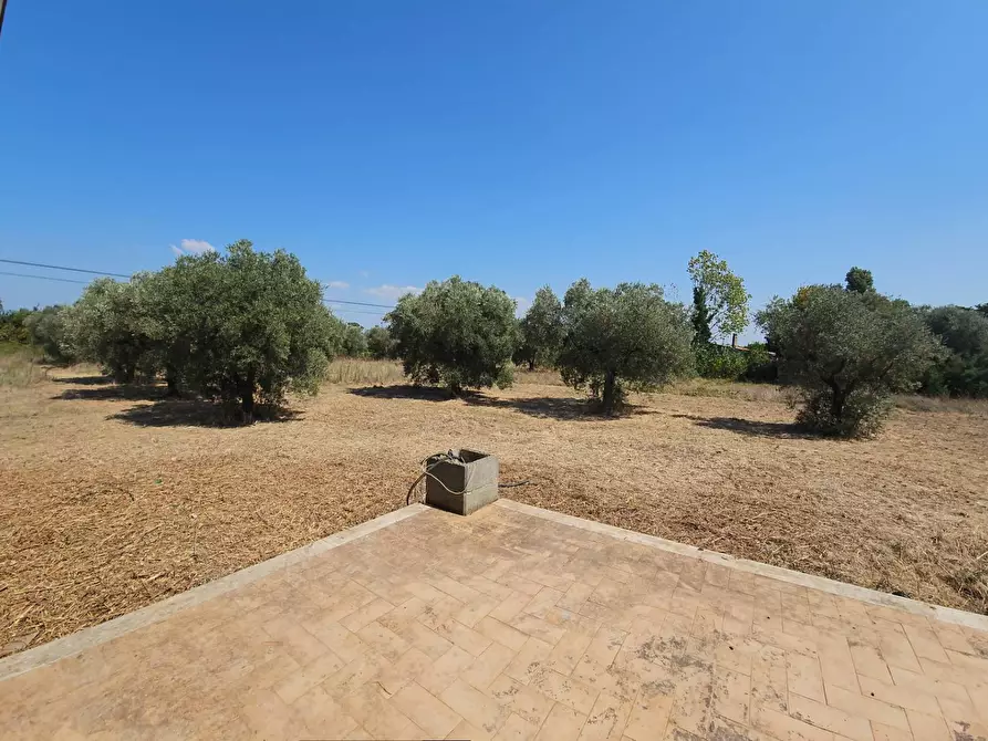 Immagine 21 di Villa in vendita  in Via Pantanelle a Aprilia