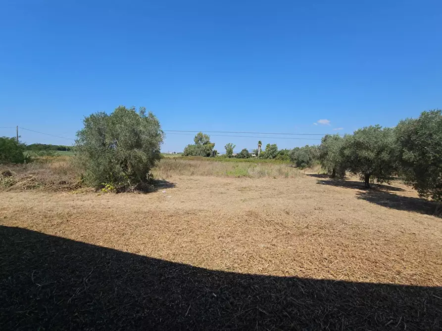 Immagine 25 di Villa in vendita  in Via Pantanelle a Aprilia