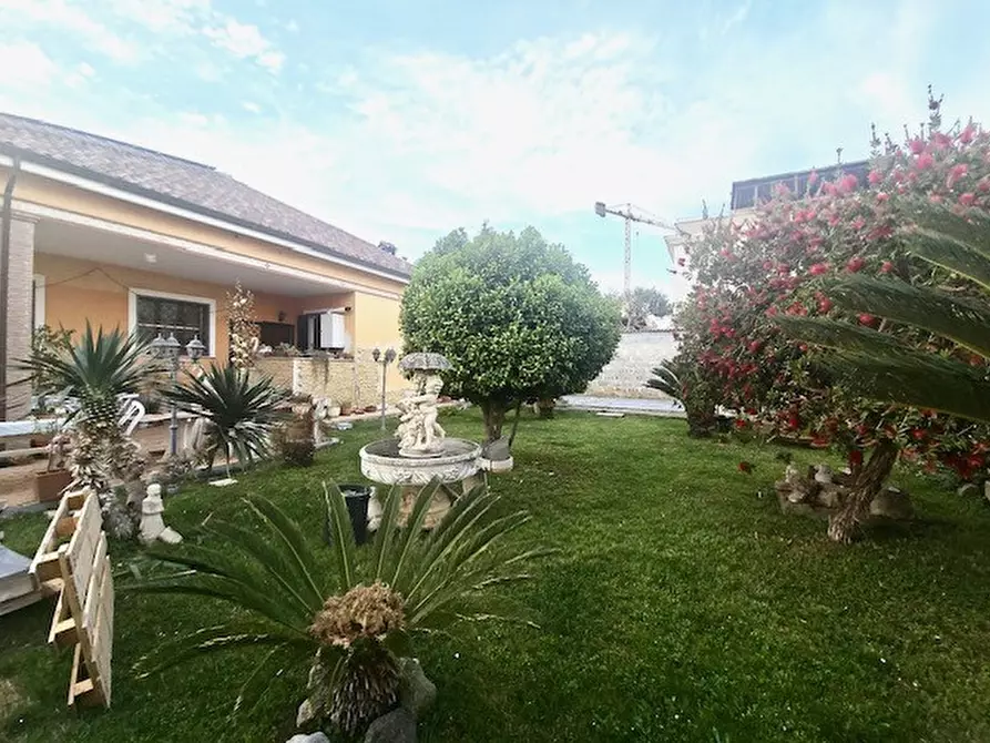 Immagine 9 di Casa indipendente in vendita  in Mar Nero a Pomezia