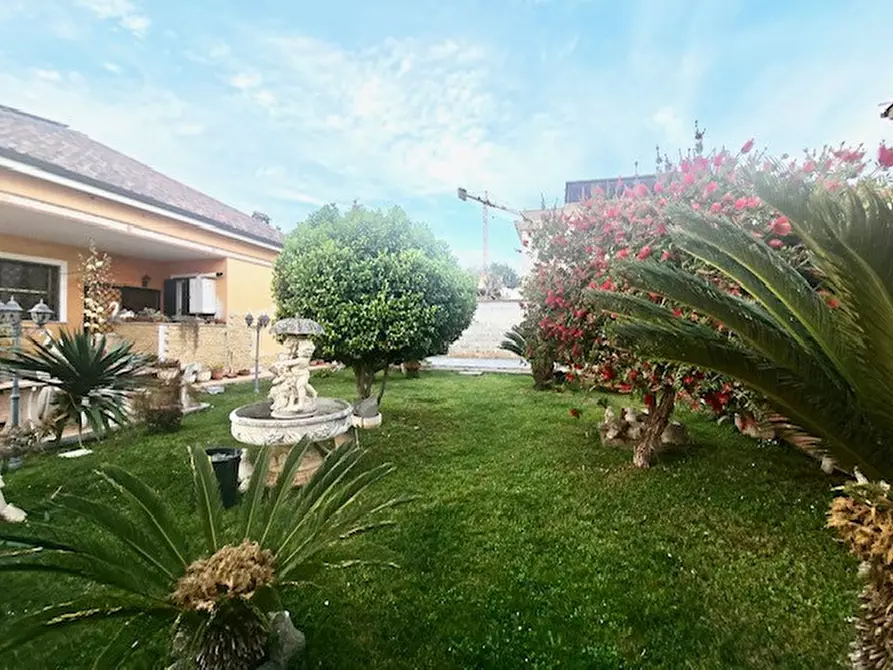 Immagine 3 di Casa indipendente in vendita  in Mar Nero a Pomezia