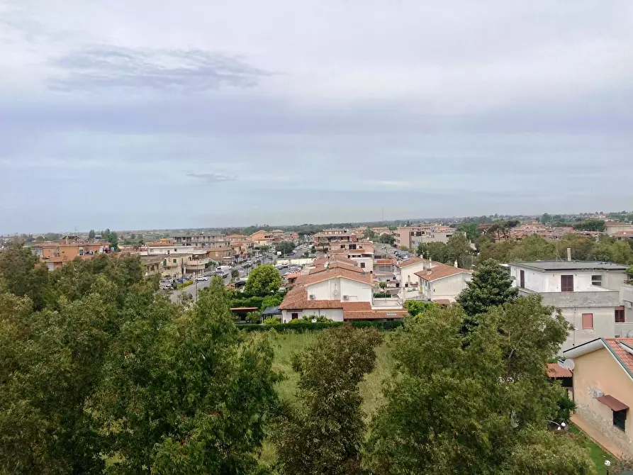 Immagine 21 di Attico in vendita  in Viale san Lorenzo a Ardea