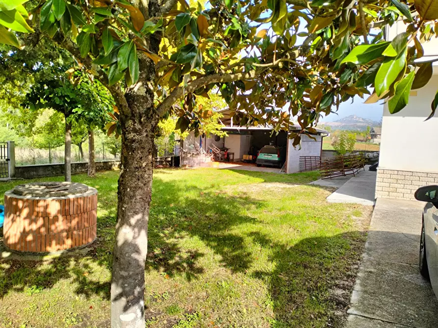 Immagine 3 di Villa in vendita  in via del soldato a Colfelice