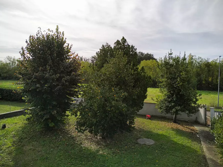 Immagine 26 di Villa in vendita  in via del soldato a Colfelice