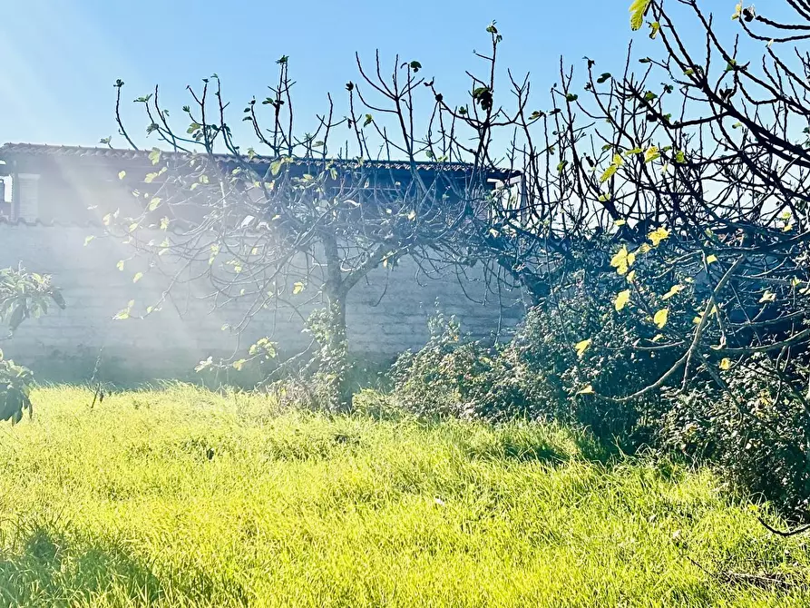 Immagine 3 di Terreno residenziale in vendita  in via serio a Aprilia