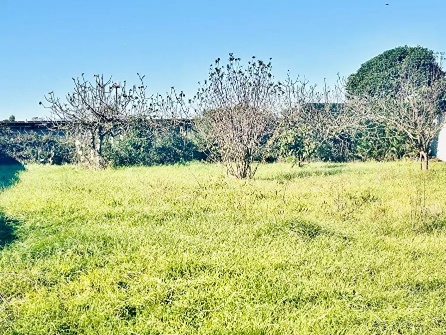Immagine 6 di Terreno residenziale in vendita  in via serio a Aprilia