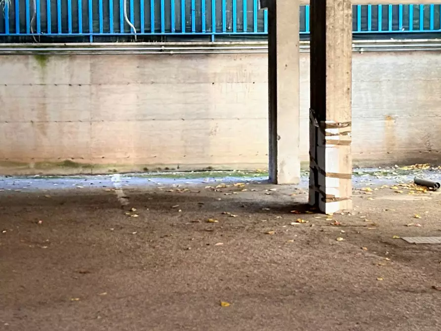 Immagine 15 di Appartamento in vendita  in via corallo a Nettuno