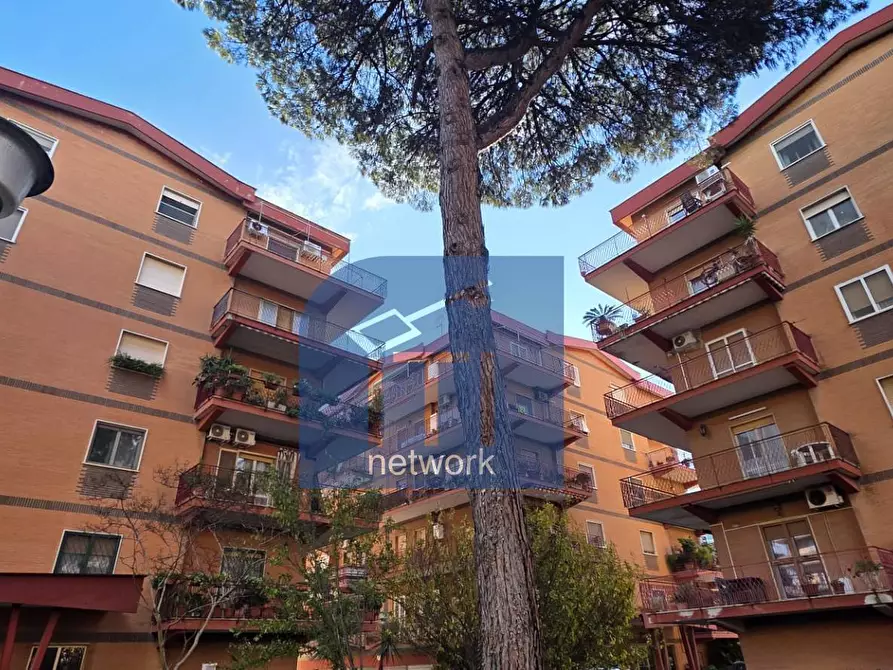 Immagine 34 di Appartamento in vendita  in VIA TRAPANI 23 a Ladispoli