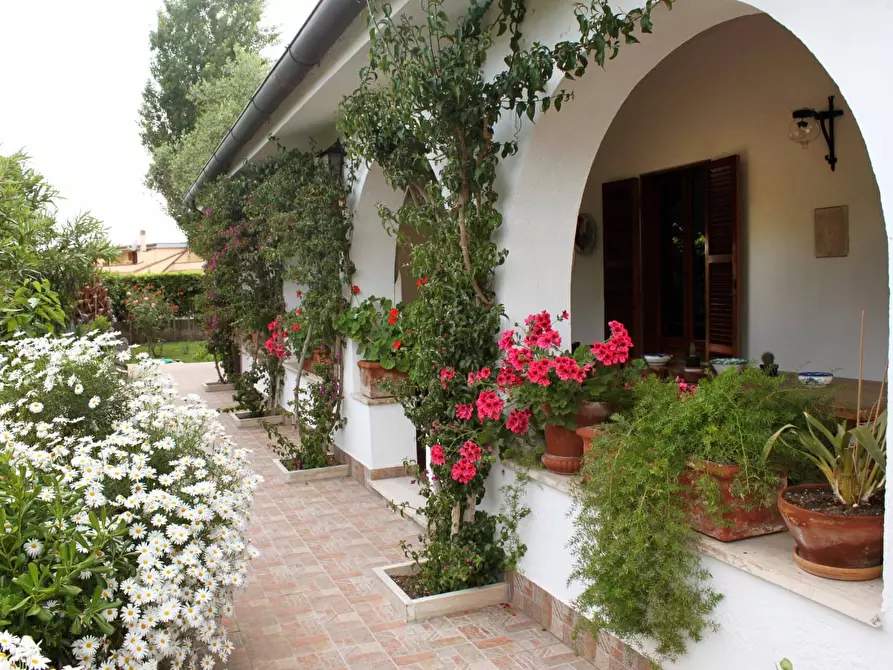 Immagine 3 di Villa in vendita  in viale nuova california a Ardea