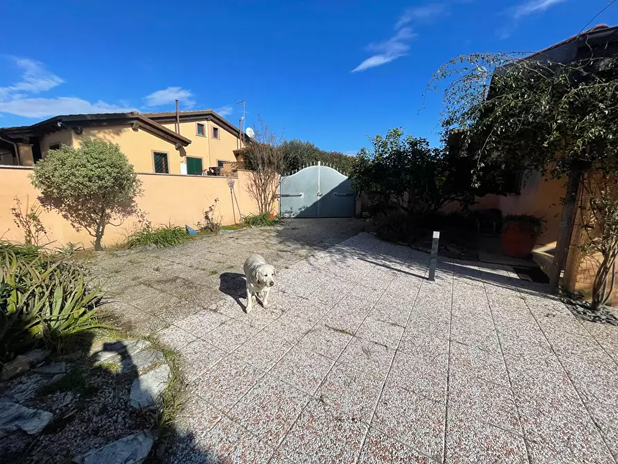 Immagine 12 di Casa semindipendente in vendita  in via campodicarne a Ardea