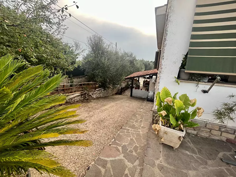 Immagine 21 di Villa in vendita  in Via San Berardo dei Marsi a Ardea