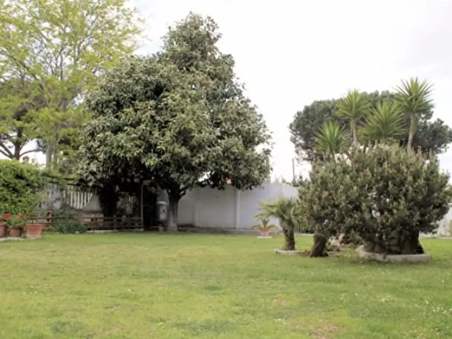 Immagine 4 di Villa in vendita  in via serio a Aprilia