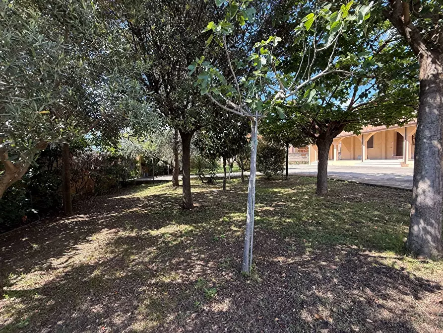 Immagine 61 di Villa in vendita  in Via Pratica Di Mare a Ardea