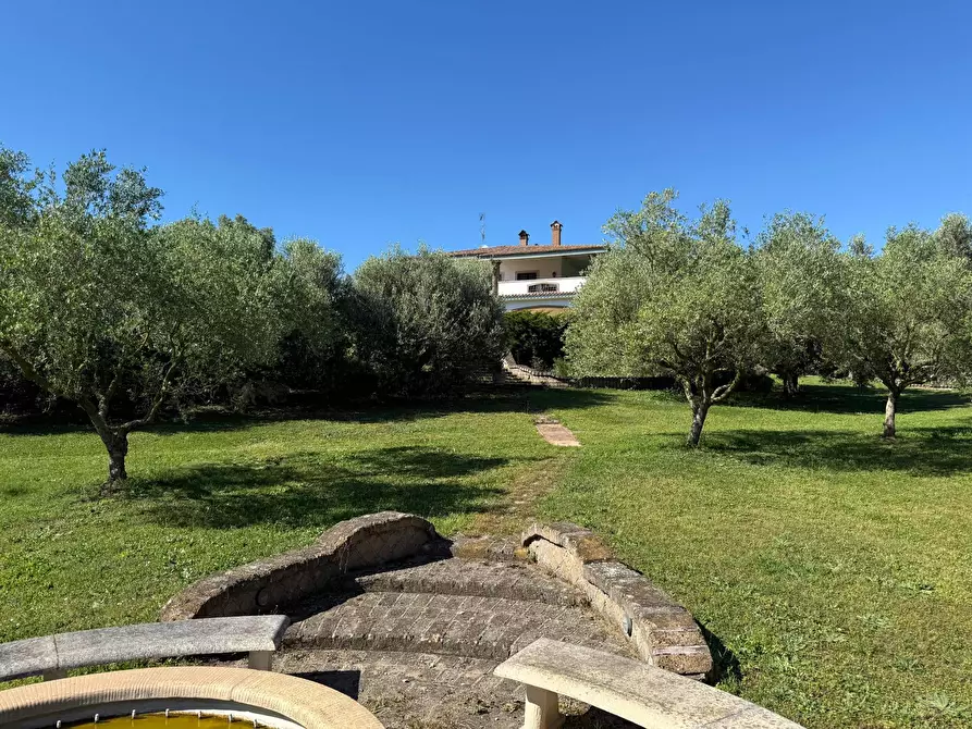 Immagine 27 di Villa in vendita  in via delle Magnolie a Pomezia