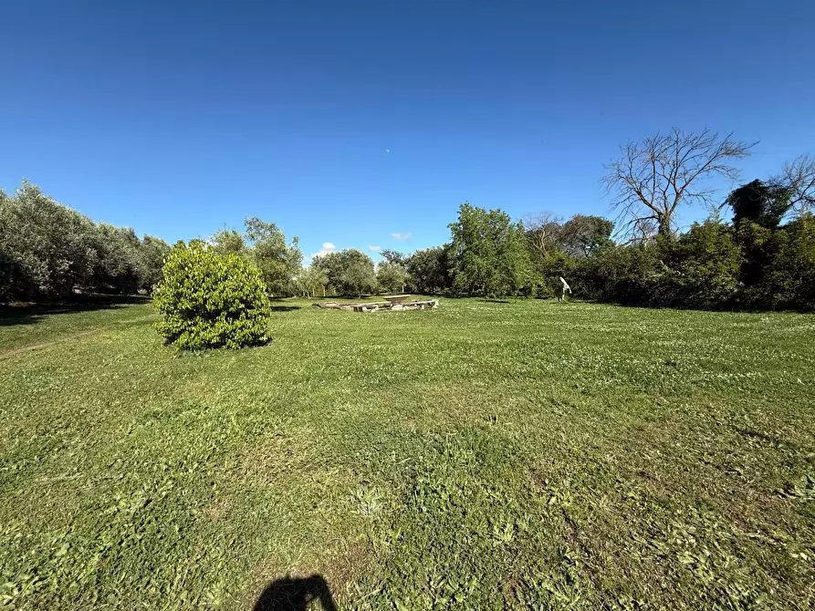 Immagine 31 di Villa in vendita  in via delle Magnolie a Pomezia