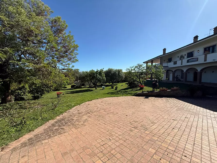 Immagine 49 di Villa in vendita  in via delle Magnolie a Pomezia