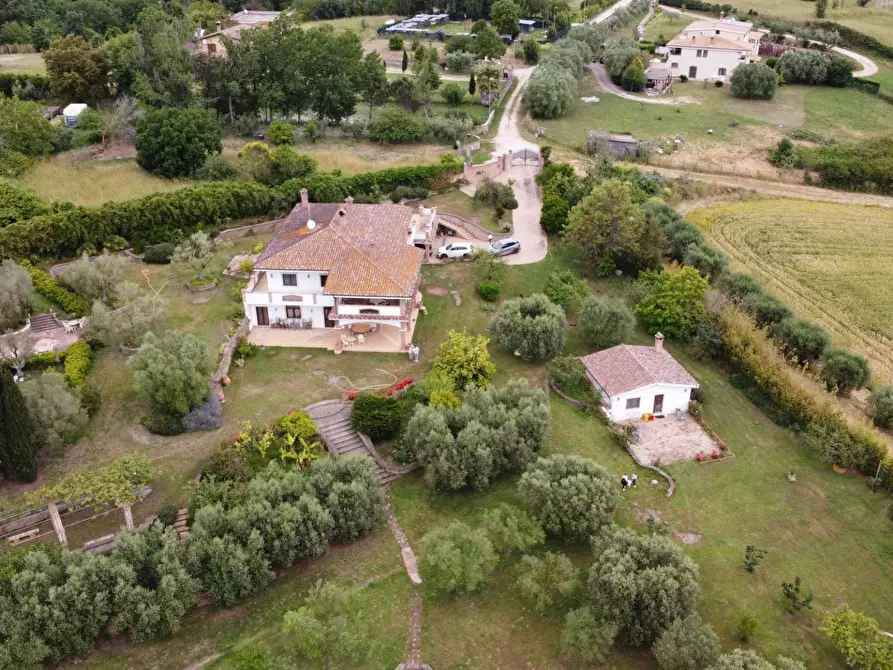 Immagine 74 di Villa in vendita  in via delle Magnolie a Pomezia