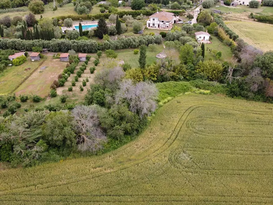 Immagine 77 di Villa in vendita  in via delle Magnolie a Pomezia