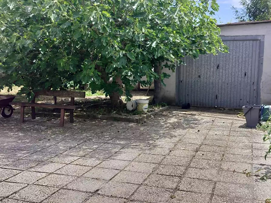 casa indipendente in vendita a Nettuno