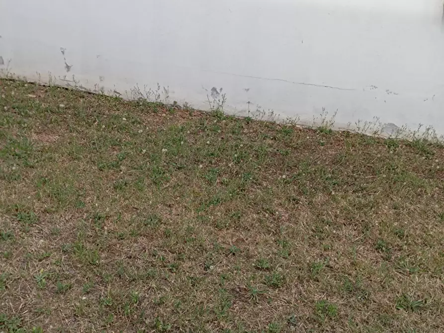 Immagine 5 di Casa semindipendente in vendita  in Viale dei giornalisti a Anzio