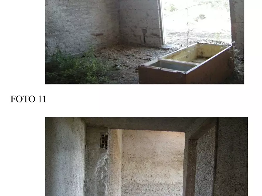 Immagine 7 di Rustico / casale in vendita  in via degli ippocastani a Ardea